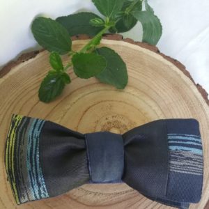 Navy blue bowtie